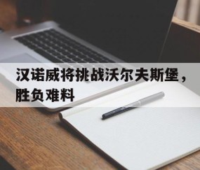 宝威网站-法兰克福沃尔夫斯堡分析