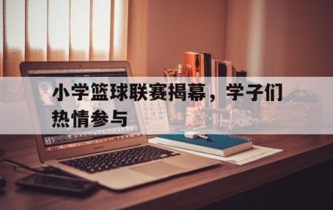 宝威官网入口-小学篮球联赛揭幕,学子们热情参与比赛